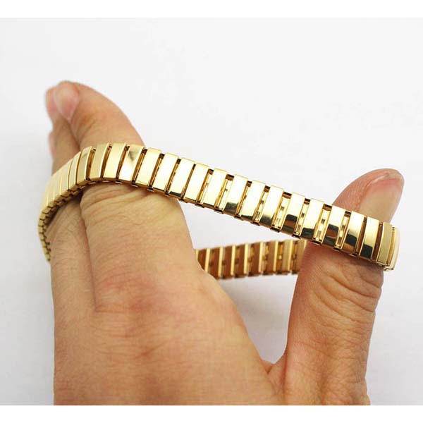 �o���O���F�S�[���h�G�N�X�p���_�[�o���O��