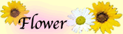 フラワー（花）のシルバーアクセサリー